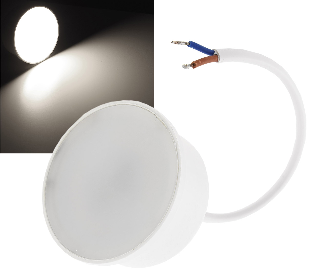LED-Modul_5W_4000K_32-747-01200_B1 5W LED Birne 50mm MR16 400lm 230V 4000K WW LED Modul